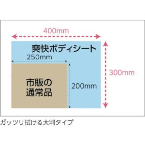 Trusco “爽快擦身巾” 加厚型 30枚入 TBS-30