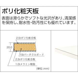 Trusco 轻量高度可调是工作台（带抽屉2段）