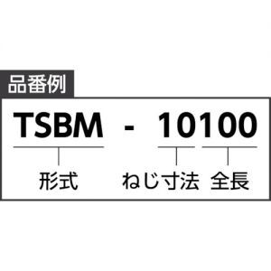 Trusco 双头螺栓 TSBM系列