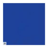 Trusco 风淋室用粘尘垫（不带孔） 300×300mm 中等粘性 蓝色 ASSF-3030B